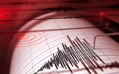 The Role of Communication: The Reality of Earthquakes